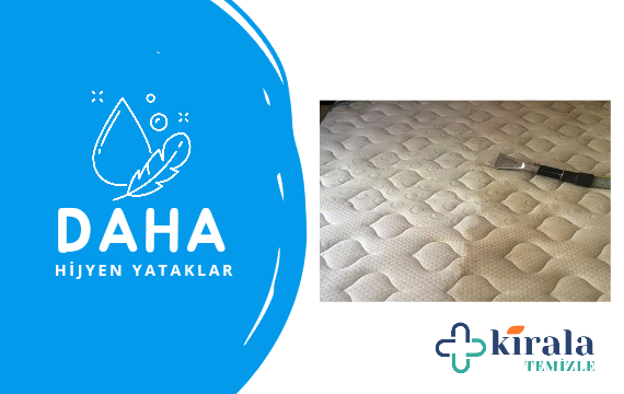 buharlı koltuk yıkama