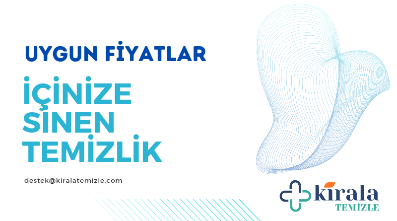 koltuk yatak yıkama